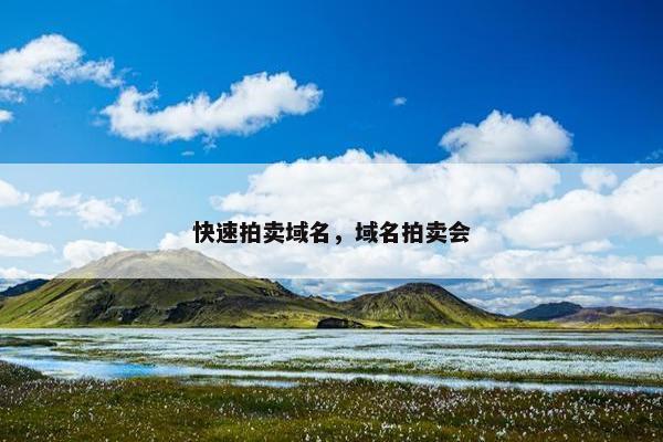 快速拍卖域名，域名拍卖会