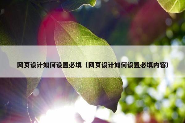 网页设计如何设置必填（网页设计如何设置必填内容）