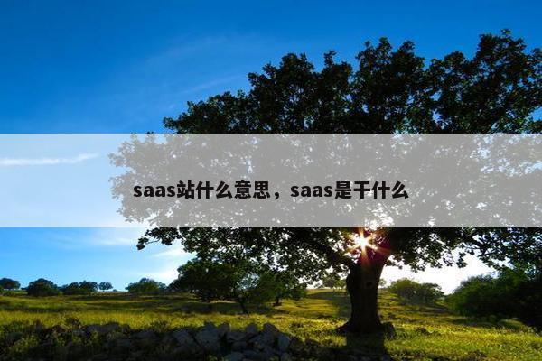 saas站什么意思，saas是干什么