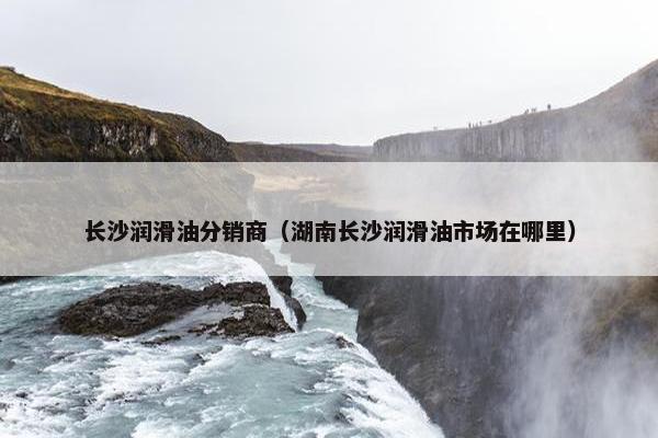 长沙润滑油分销商（湖南长沙润滑油市场在哪里）
