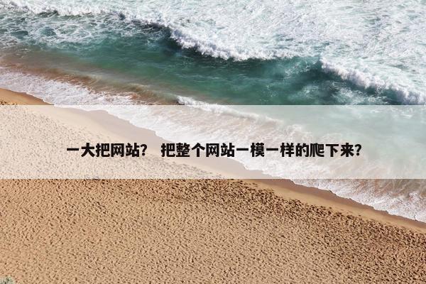 一大把网站？ 把整个网站一模一样的爬下来？