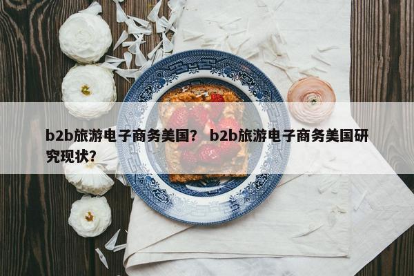 b2b旅游电子商务美国？ b2b旅游电子商务美国研究现状？