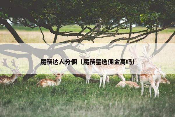 魔筷达人分佣（魔筷星选佣金高吗）