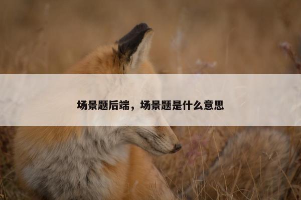 场景题后端，场景题是什么意思