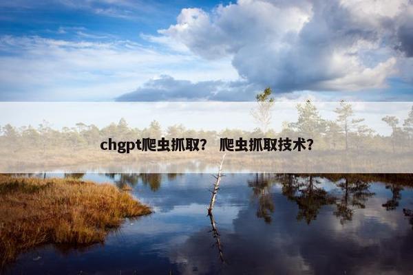 chgpt爬虫抓取？ 爬虫抓取技术？
