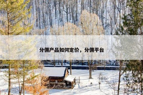 分佣产品如何定价，分佣平台