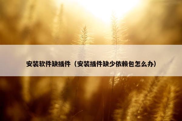 安装软件缺插件（安装插件缺少依赖包怎么办）