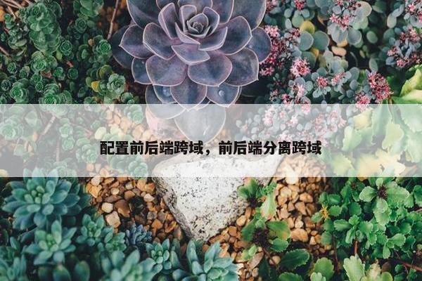 配置前后端跨域，前后端分离跨域