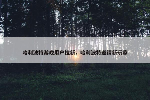哈利波特游戏用户拉新，哈利波特邀请新玩家