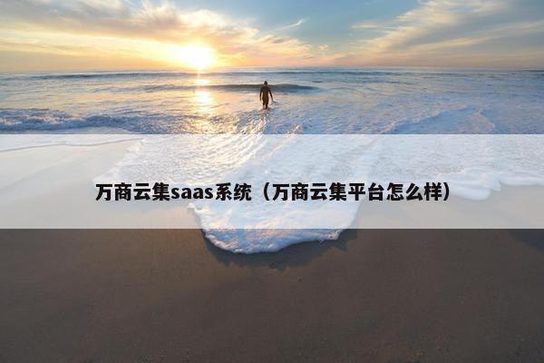 万商云集saas系统（万商云集平台怎么样）