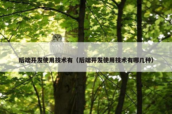 后端开发使用技术有（后端开发使用技术有哪几种）