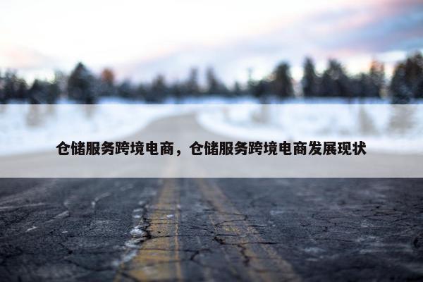 仓储服务跨境电商，仓储服务跨境电商发展现状