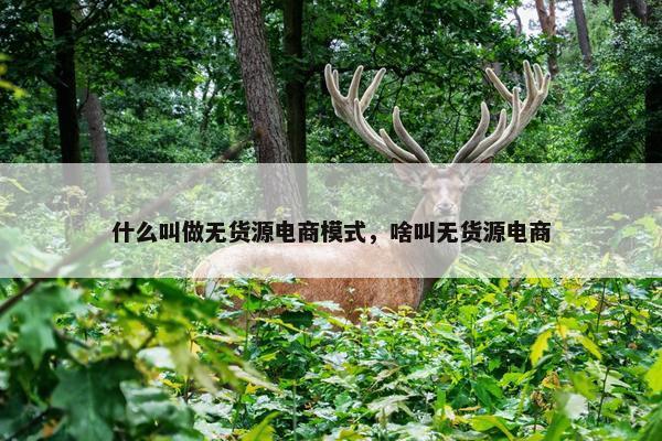 什么叫做无货源电商模式，啥叫无货源电商