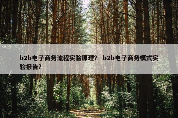 b2b电子商务流程实验原理？ b2b电子商务模式实验报告？