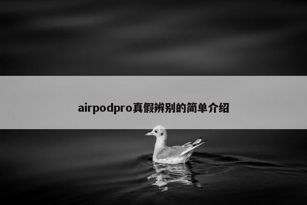 airpodpro真假辨别的简单介绍