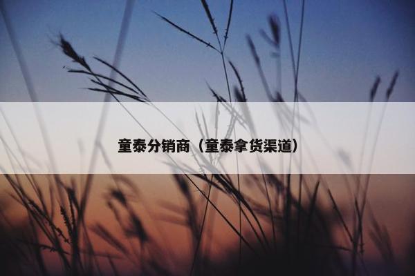 童泰分销商（童泰拿货渠道）