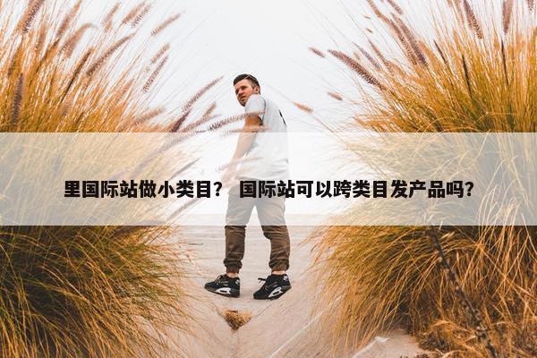 里国际站做小类目？ 国际站可以跨类目发产品吗？