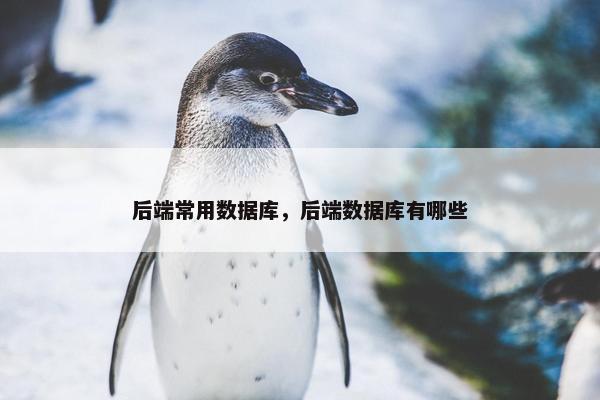后端常用数据库，后端数据库有哪些