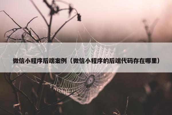 微信小程序后端案例（微信小程序的后端代码存在哪里）