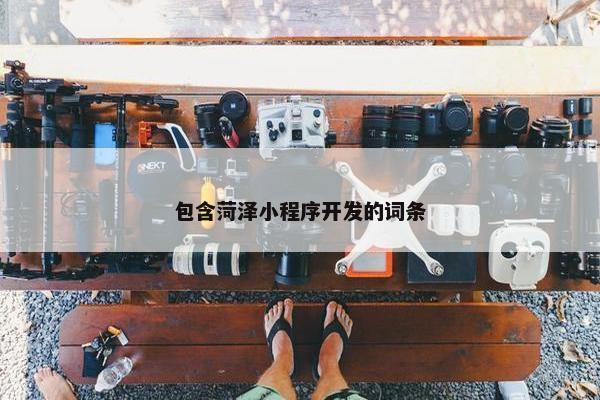 包含菏泽小程序开发的词条
