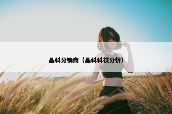 晶科分销商（晶科科技分析）