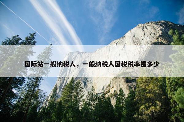 国际站一般纳税人，一般纳税人国税税率是多少