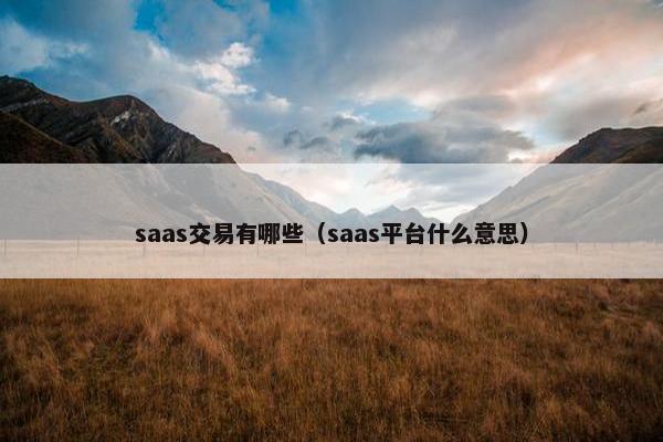 saas交易有哪些（saas平台什么意思）