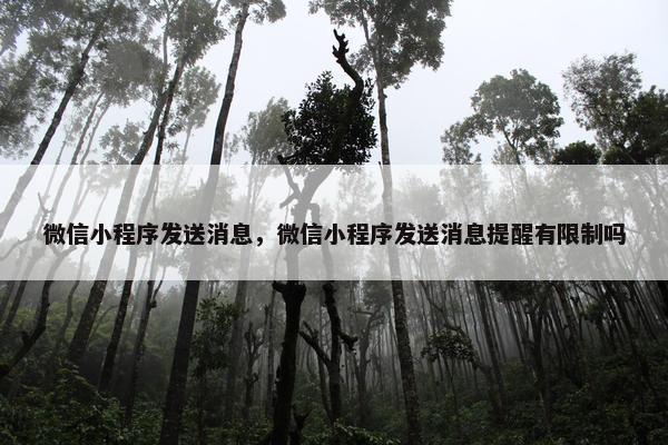 微信小程序发送消息，微信小程序发送消息提醒有限制吗