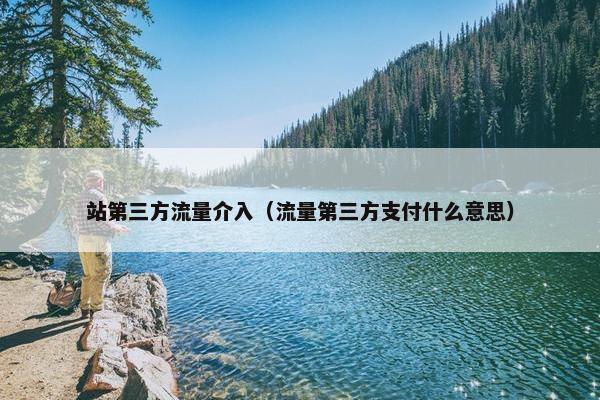 站第三方流量介入（流量第三方支付什么意思）