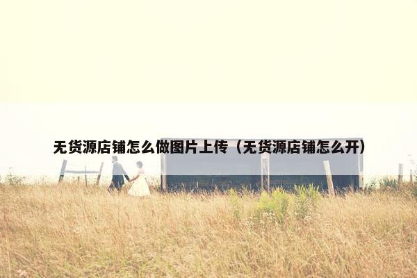 无货源店铺怎么做图片上传（无货源店铺怎么开）