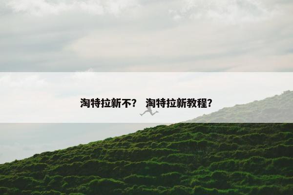 淘特拉新不？ 淘特拉新教程？