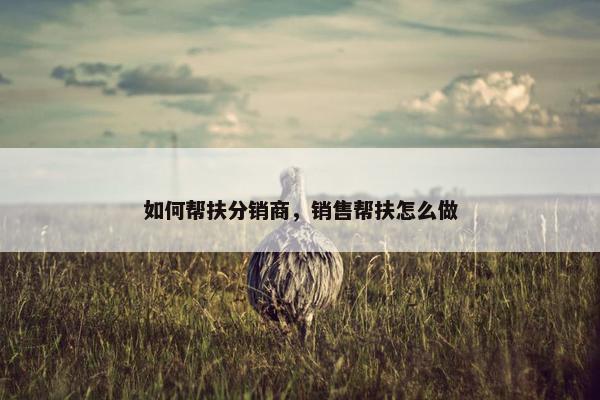 如何帮扶分销商，销售帮扶怎么做