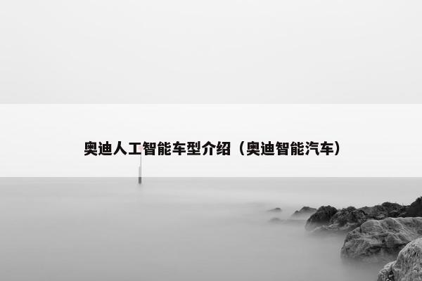奥迪人工智能车型介绍（奥迪智能汽车）