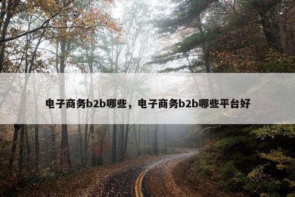 电子商务b2b哪些，电子商务b2b哪些平台好