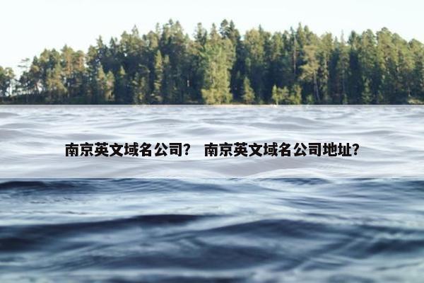 南京英文域名公司？ 南京英文域名公司地址？