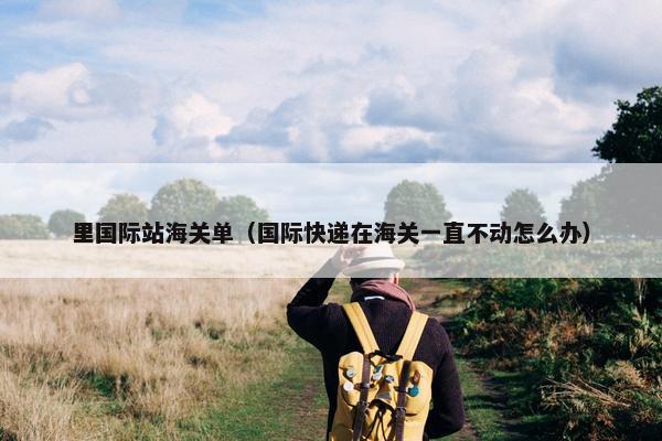 里国际站海关单（国际快递在海关一直不动怎么办）