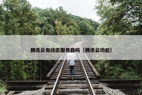 腾讯云有动态服务器吗（腾讯云功能）