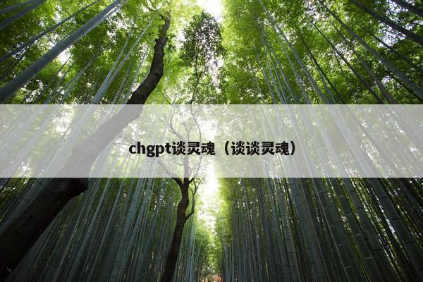 chgpt谈灵魂（谈谈灵魂）