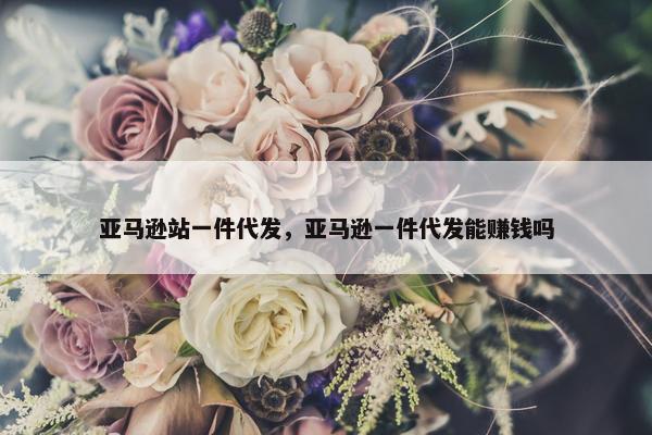 亚马逊站一件代发，亚马逊一件代发能赚钱吗