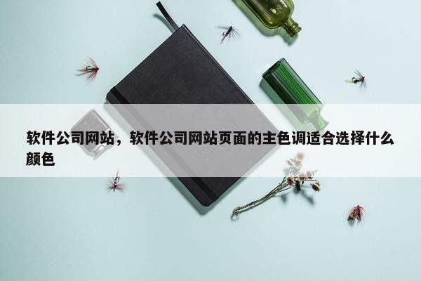 软件公司网站，软件公司网站页面的主色调适合选择什么颜色