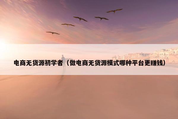 电商无货源初学者（做电商无货源模式哪种平台更赚钱）