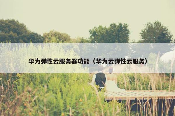 华为弹性云服务器功能（华为云弹性云服务）