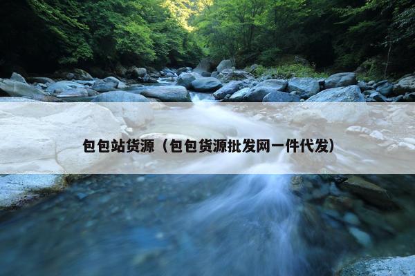 包包站货源（包包货源批发网一件代发）