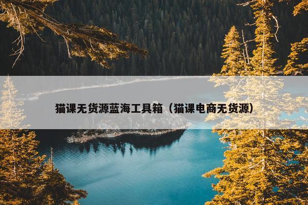 猫课无货源蓝海工具箱（猫课电商无货源）
