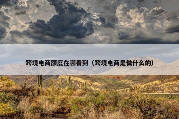 跨境电商额度在哪看到（跨境电商是做什么的）