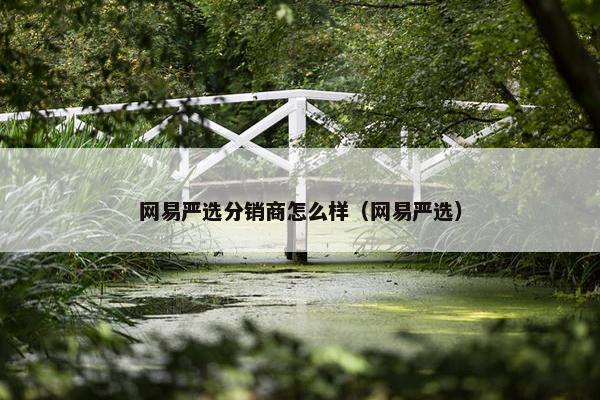 网易严选分销商怎么样（网易严选）