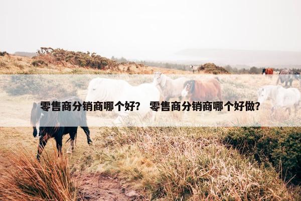 零售商分销商哪个好？ 零售商分销商哪个好做？