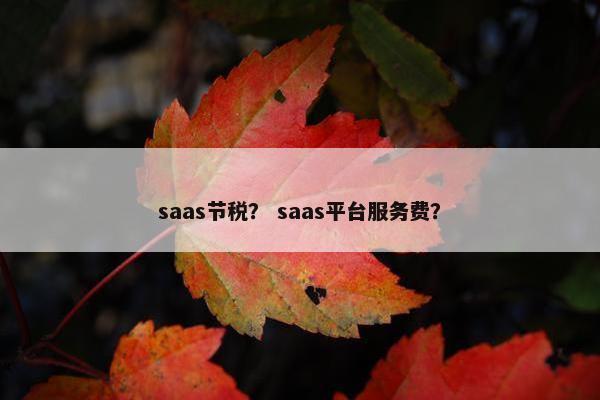 saas节税？ saas平台服务费？