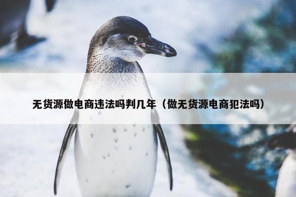无货源做电商违法吗判几年（做无货源电商犯法吗）