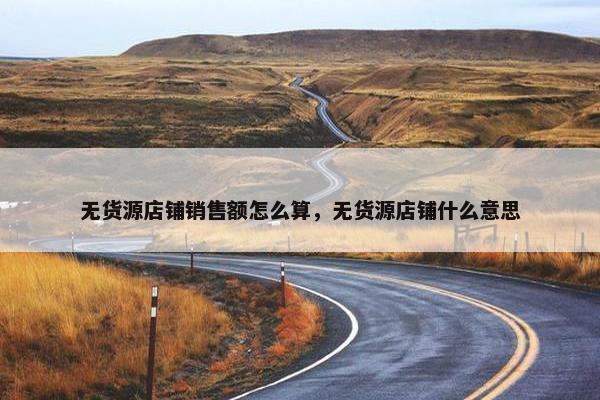 无货源店铺销售额怎么算，无货源店铺什么意思